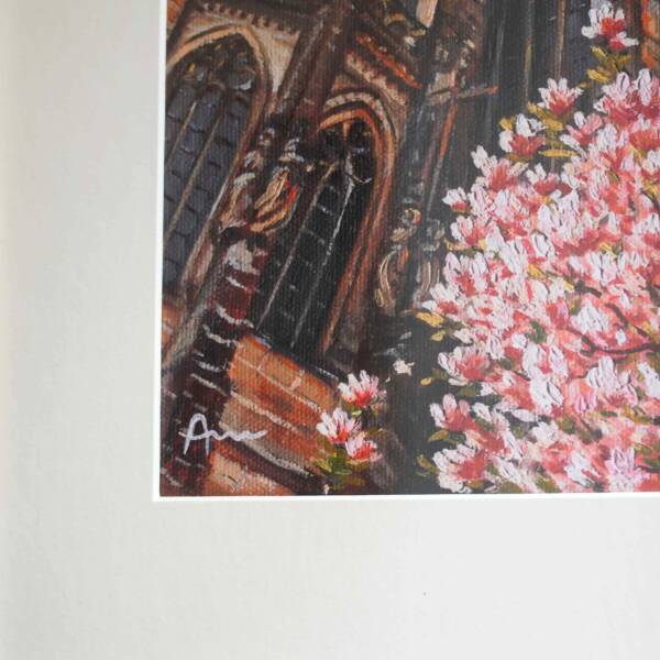 Magnolie am Aachener Dom | 20x20 | Print – Bild 10